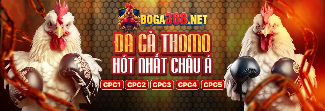 Đá gà trực tuyến G888 Code